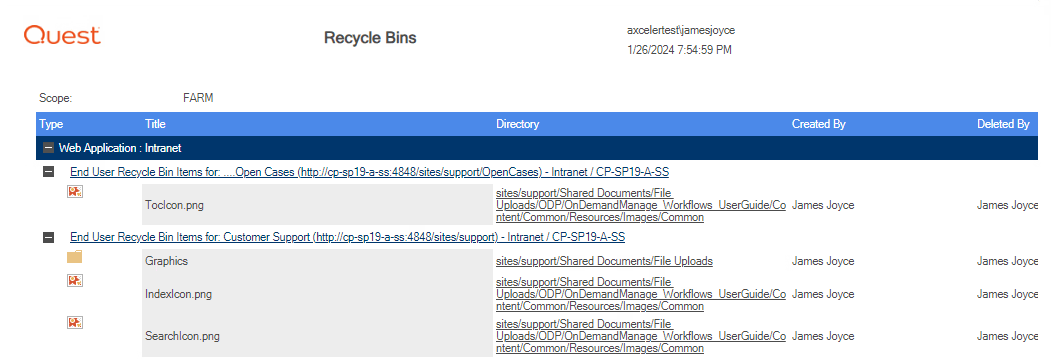 Recycle Bin Report EXPANDED