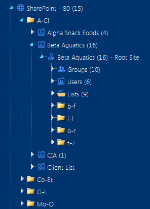 NAVCAP example