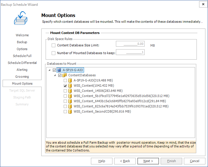 Backup_Restore_Scheduler_08_Mount_Options