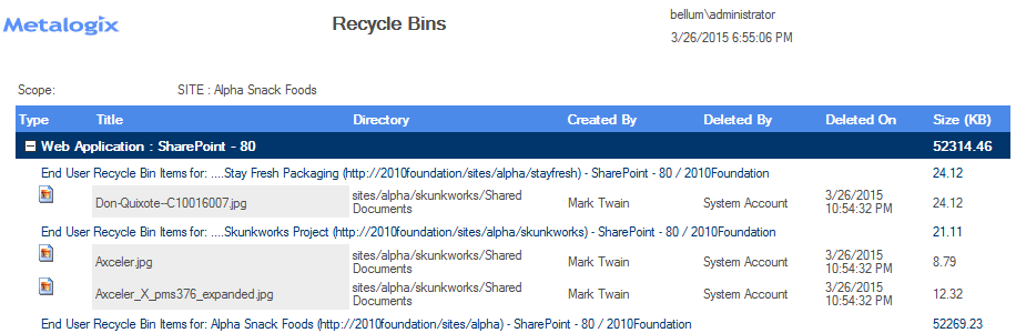 Recycle Bin Report EXPANDED