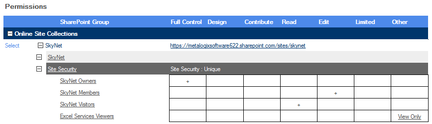 SP Group Analysis PERMS CP Online