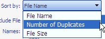 Duplicate Files SORT BY