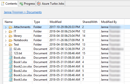 file manager Interface 4