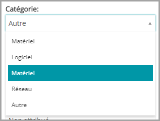 Sur cette image, Matériel et Moniteur sont présentés comme deux options pouvant être sélectionnées et développées sous Catégorie.